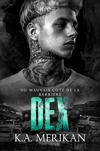 DEX : gay romance (Du mauvais côté de la barrière t. 3)