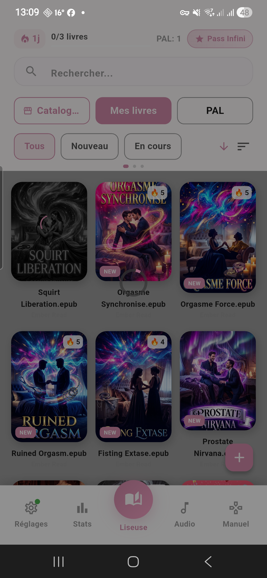 Section Accessibilité